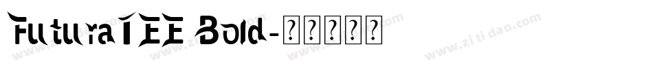 FuturaTEE Bold字体转换